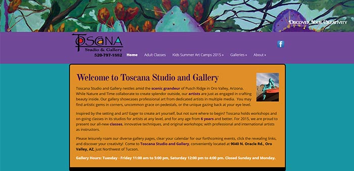 Featured Website Toscana Studio & Gallery FastWinn Web Tucson AZ