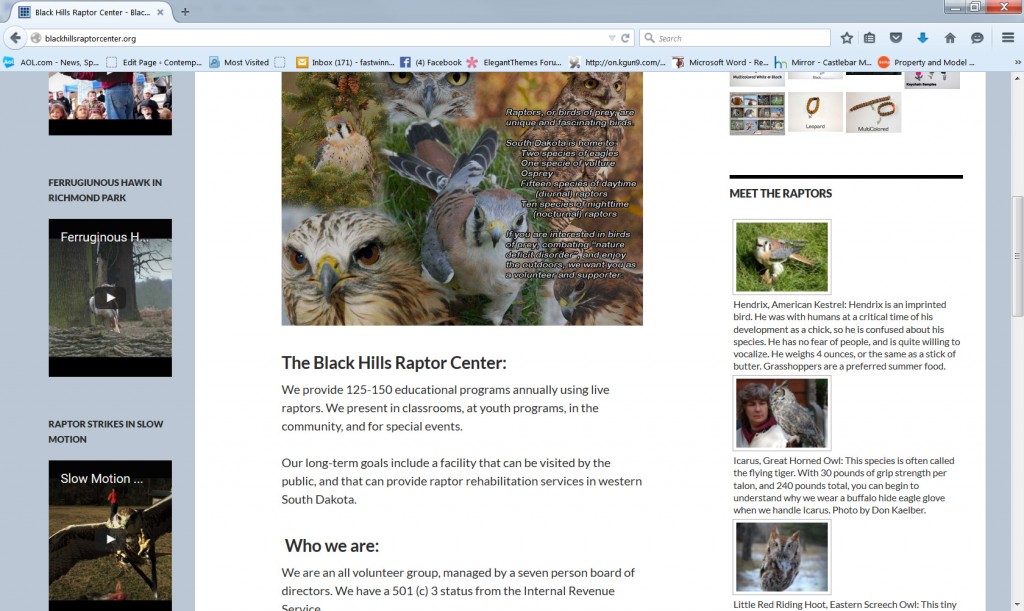 Black Hills Raptor Center old website 