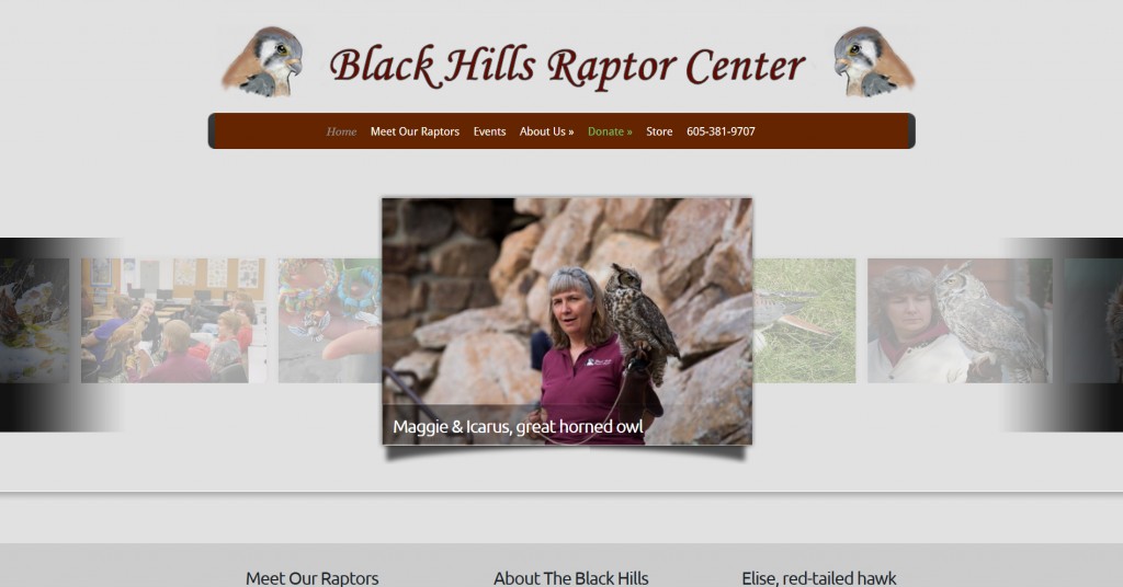 Black Hills Raptor Center website design by FastWinn Web LLC Tucson AZ