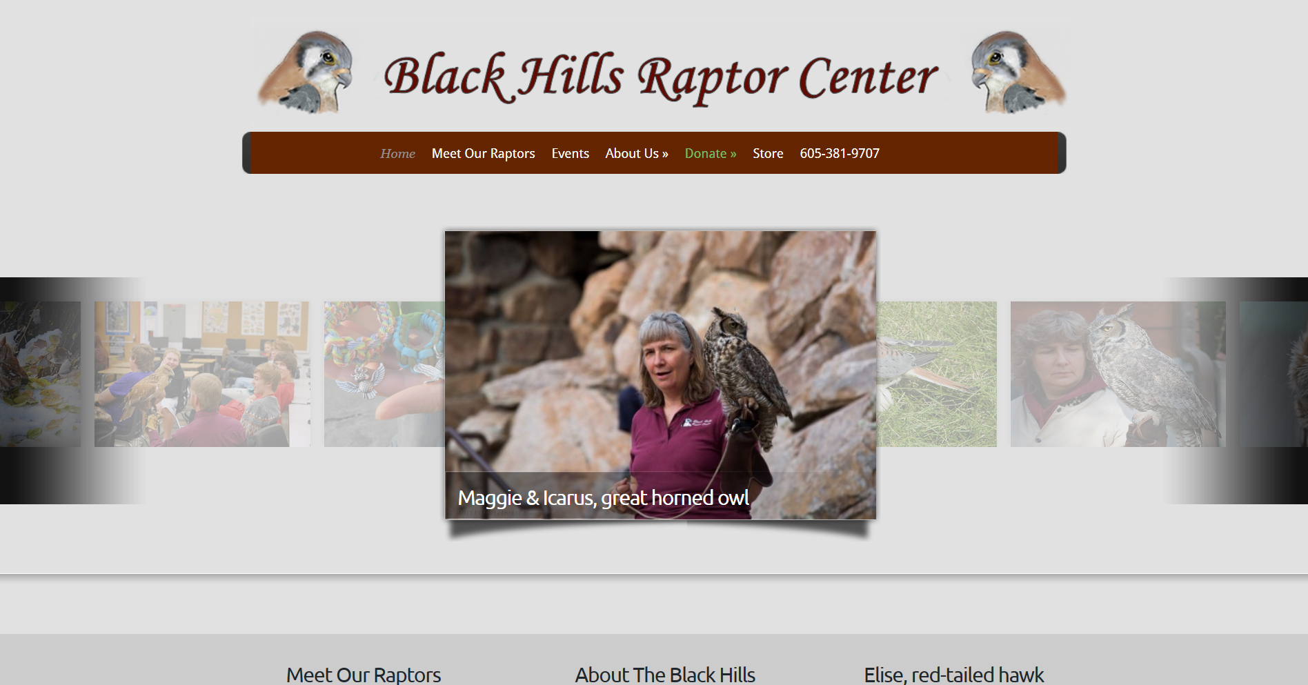 Black Hills Raptor Center