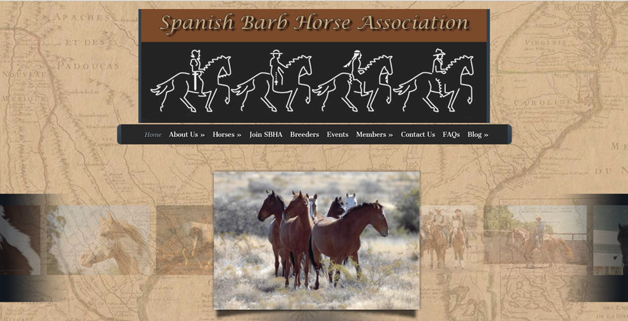 Spanish Barb Horse